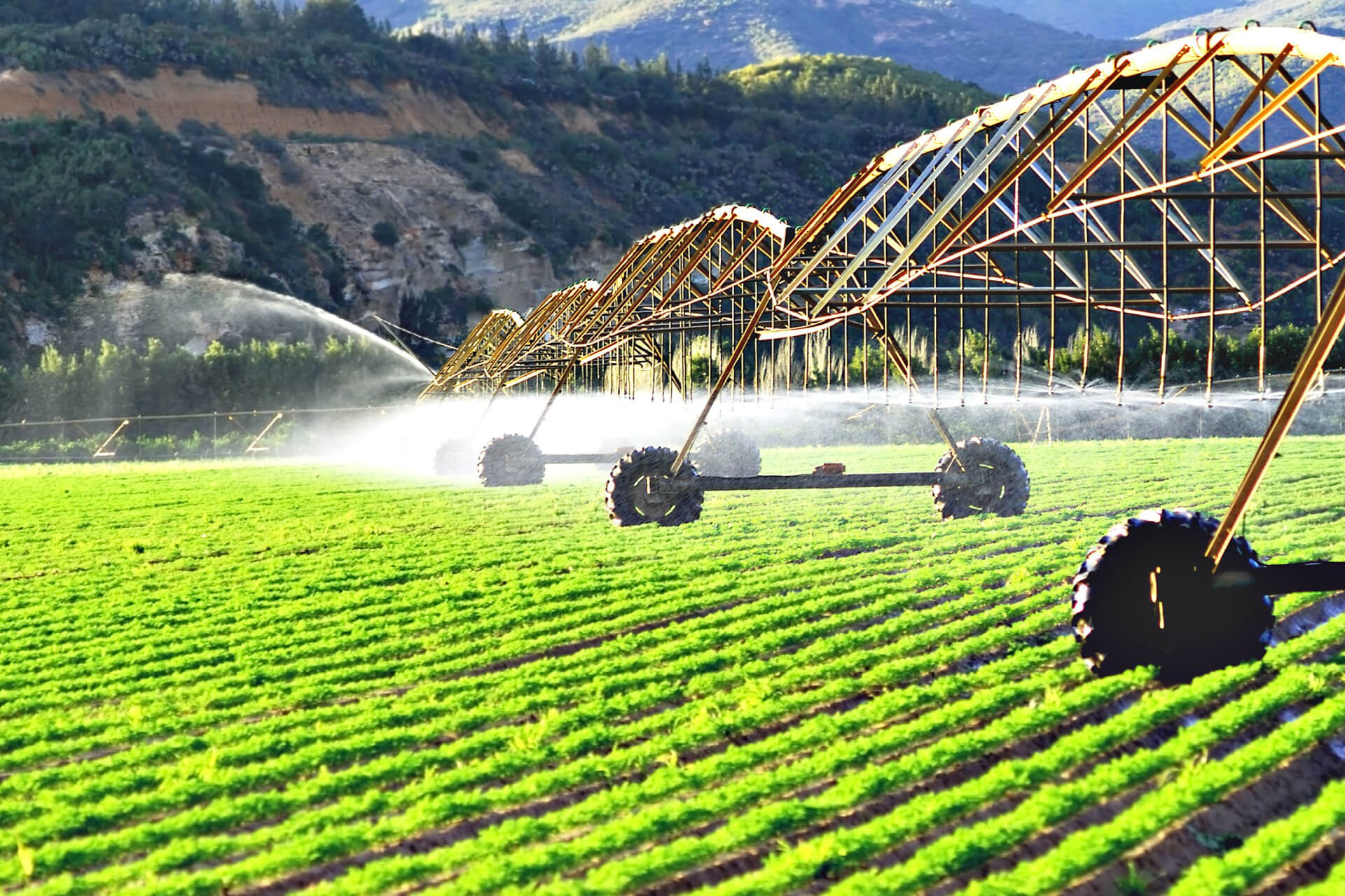 Centre Pivot System for 200 acres with Complete Installation - Image 5
