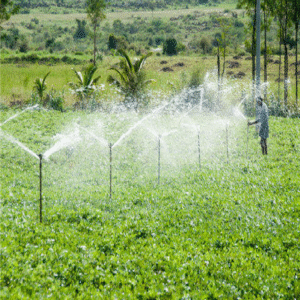 Sprinkle System 22 arces with Complete Installation